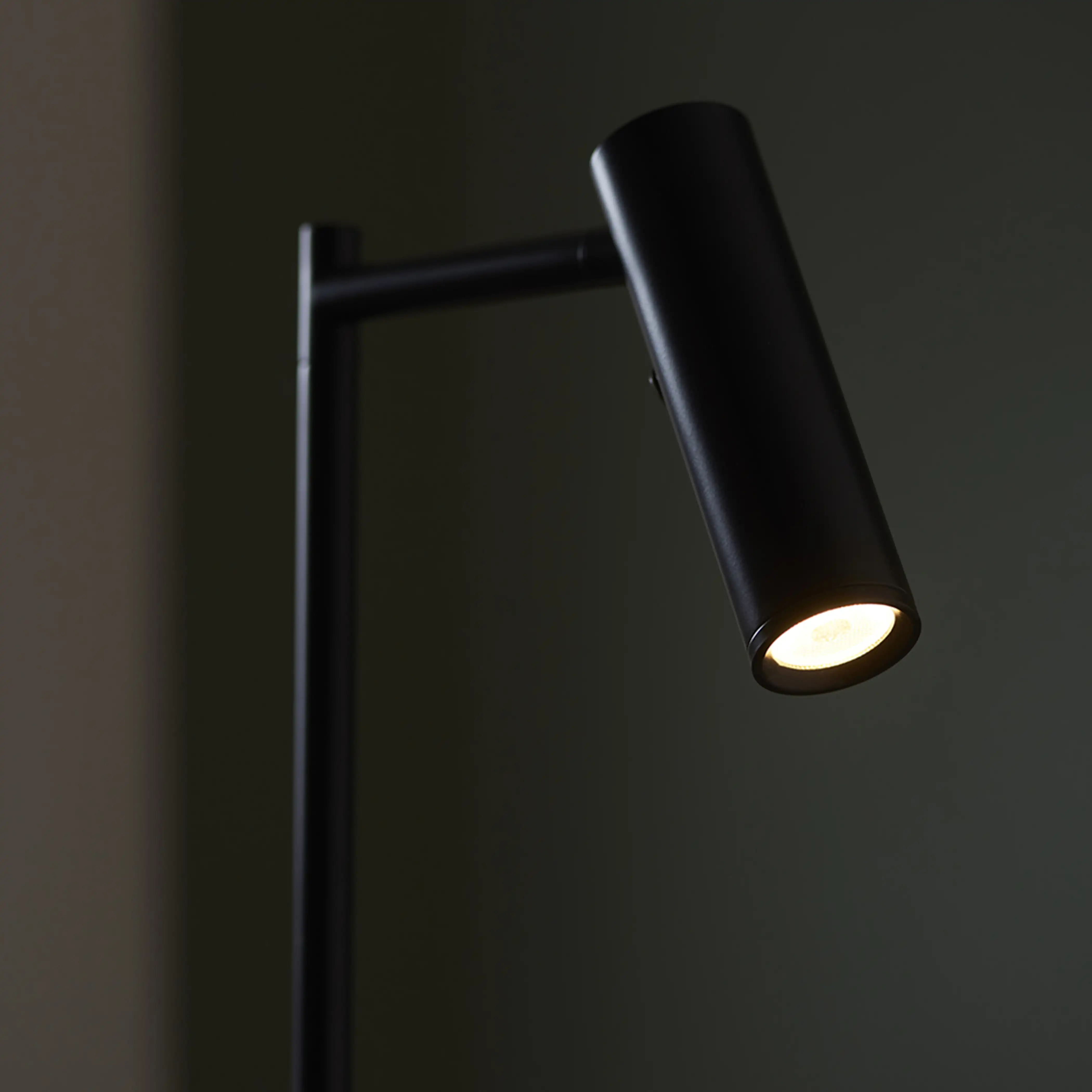 Dedicated Reader Floor Lamp | Black - Image 4