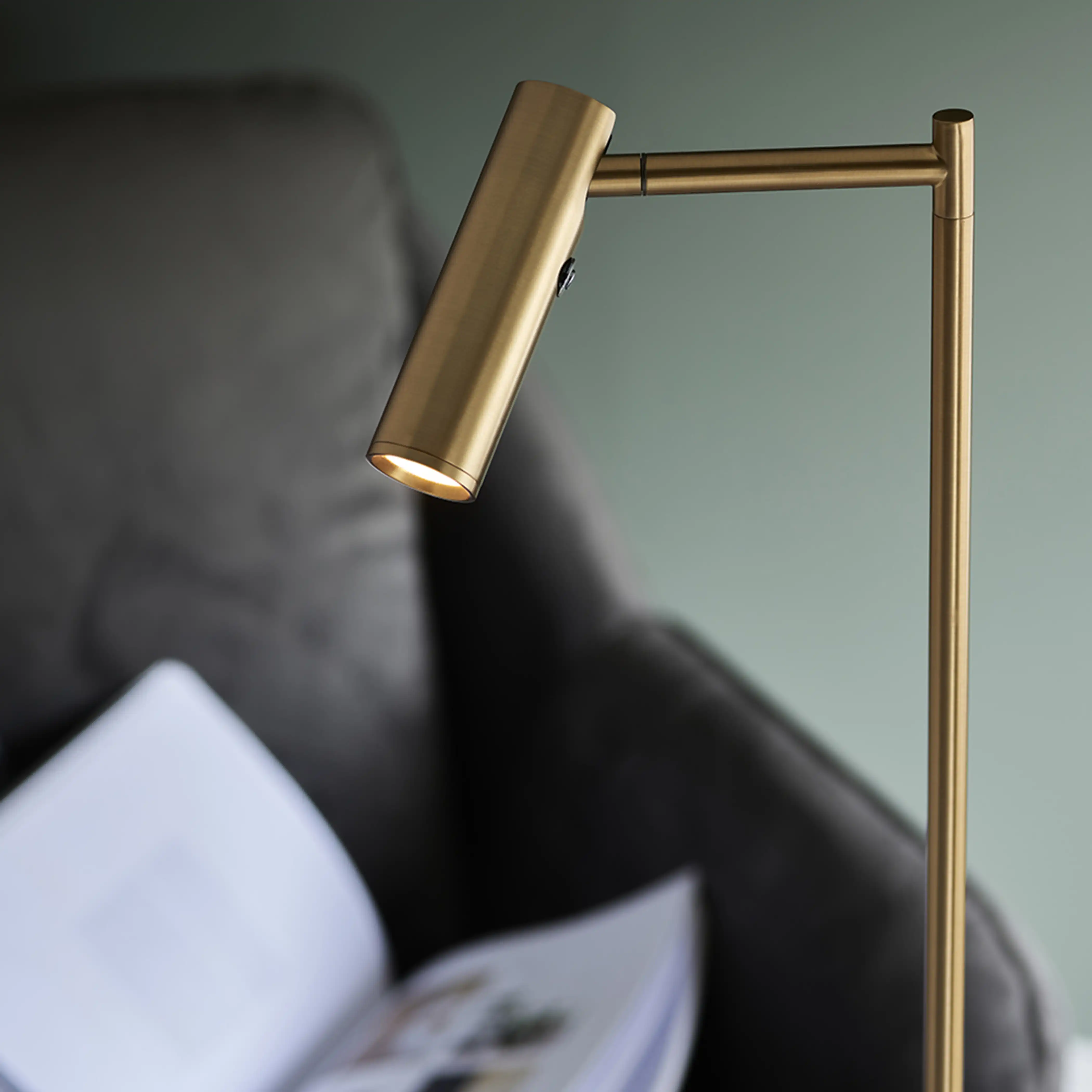 Dedicated Reader Floor Lamp | Brass - Image 4