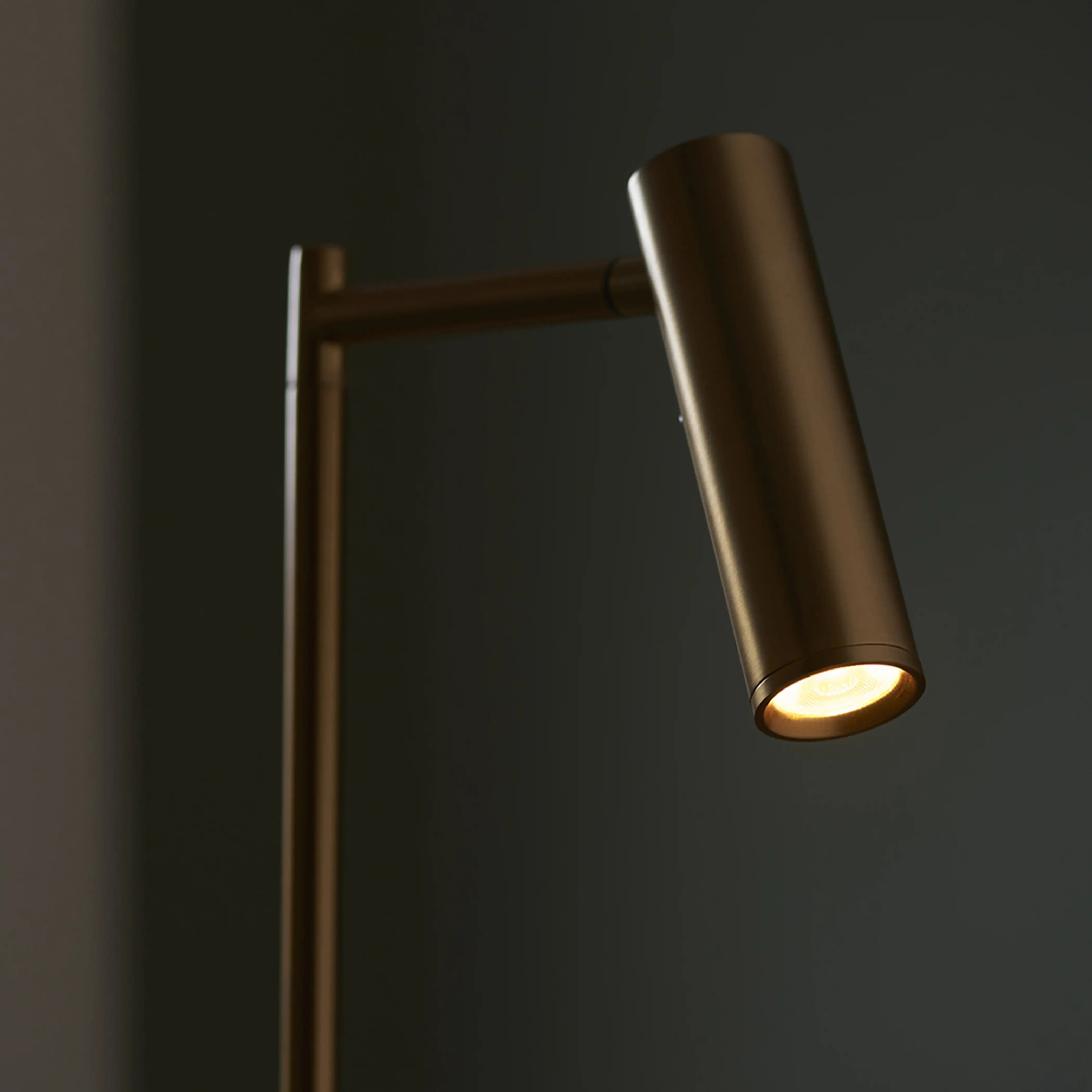 Dedicated Reader Floor Lamp | Brass - Image 5