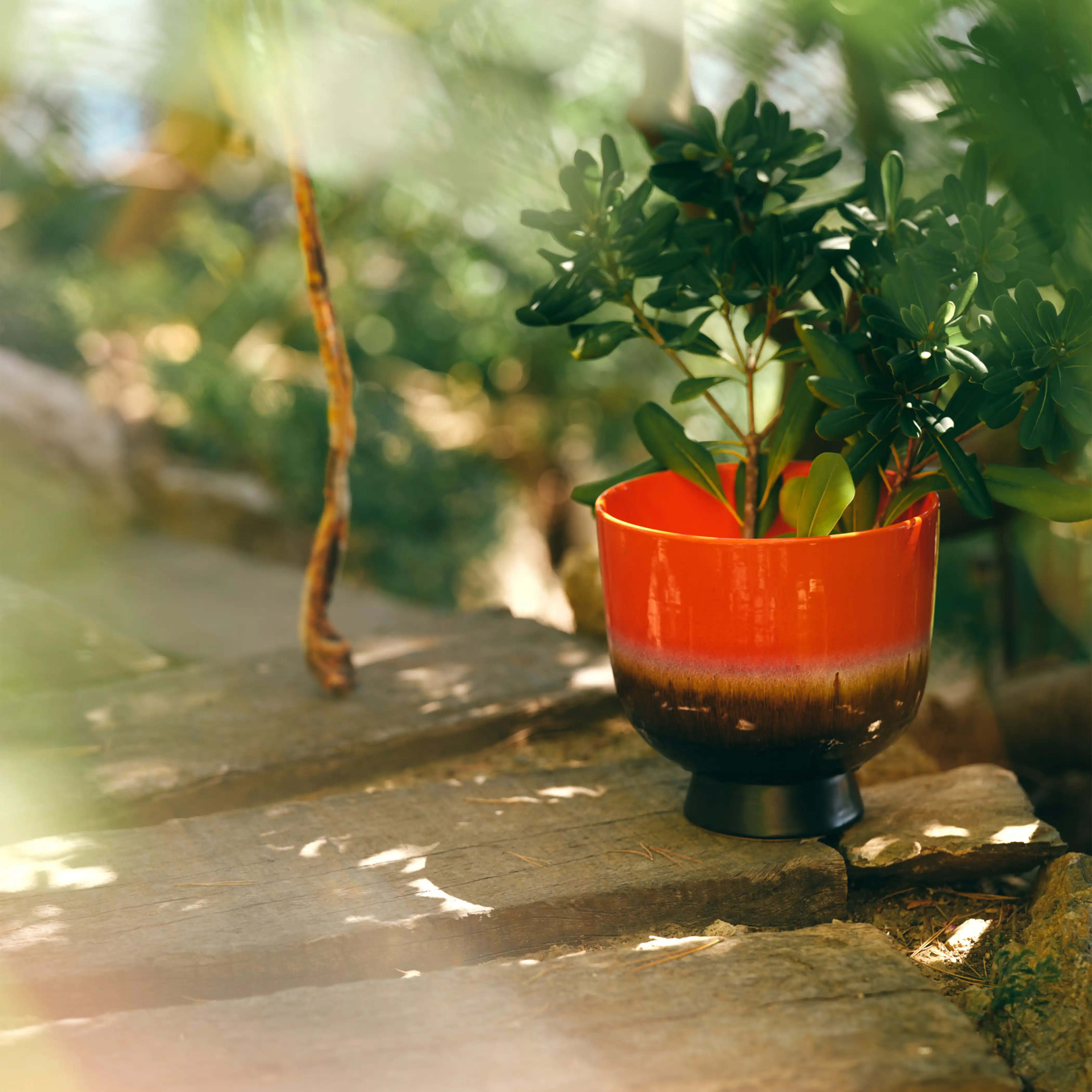 HKliving Retro Flower Pot | Cherry Red - Image 2